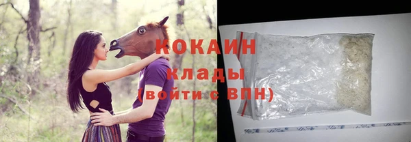 прущие грибы Рославль