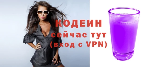 прущие грибы Рославль