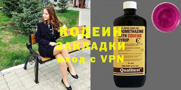 прущие грибы Рославль