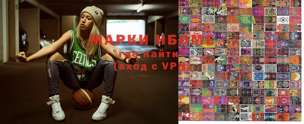 прущие грибы Рославль