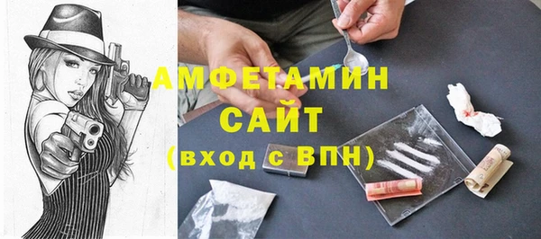 прущие грибы Рославль
