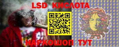 молекула духа Камышлов