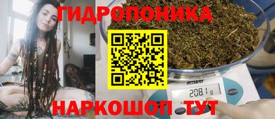 молекула духа Камышлов