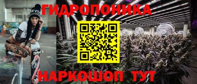 молекула духа Камышлов