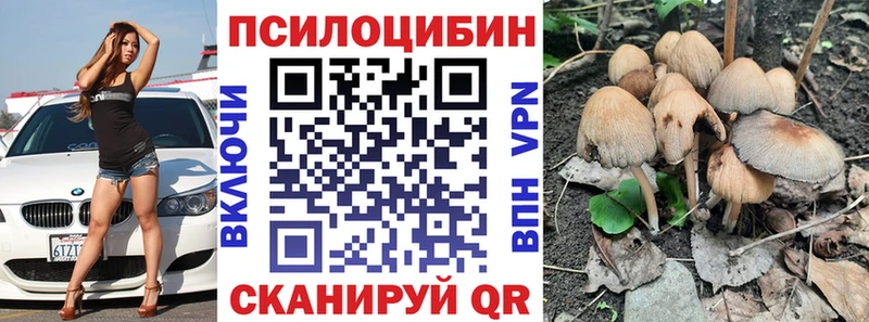 Галлюциногенные грибы Magic Shrooms  Курск 