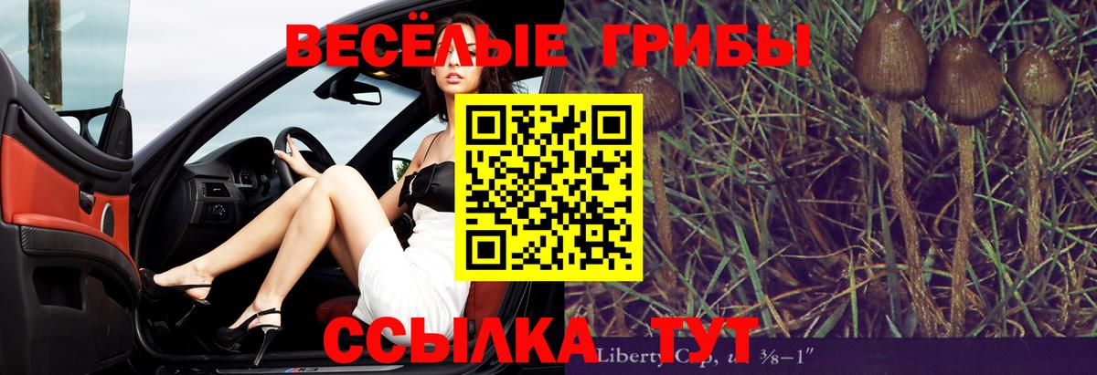 Псилоцибиновые грибы MAGIC MUSHROOMS  Курск 