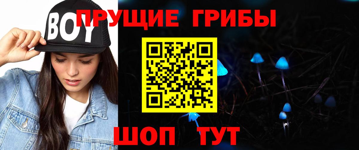 Псилоцибиновые грибы Psilocybe Курск