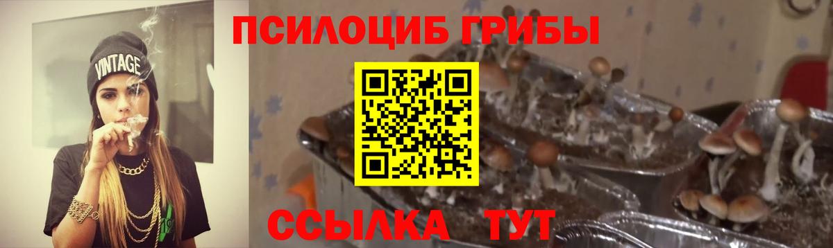 купить  цена  Галлюциногенные грибы Cubensis  Псилоцибиновые грибы Psilocybe  Вход с VPN  Курск 